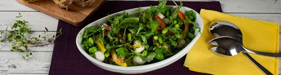 Iglo Rucola Salat verfeinert mit Mozarella