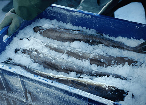 verantwortungsvolles handeln